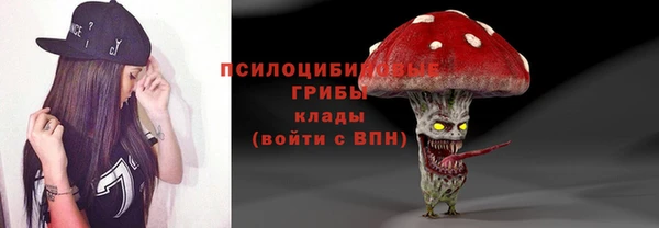 spice Баксан