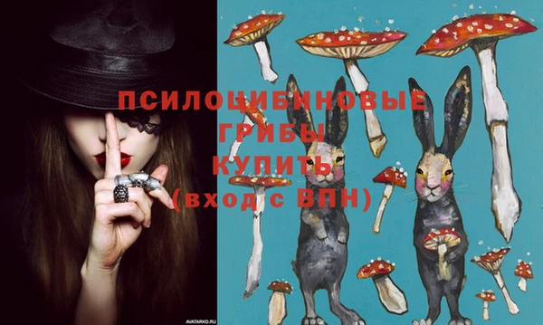 молекула духа Армянск