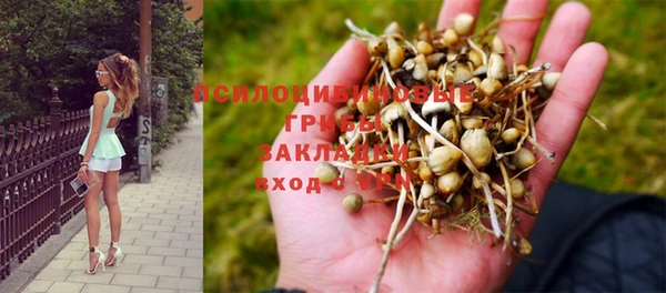 молекула духа Армянск