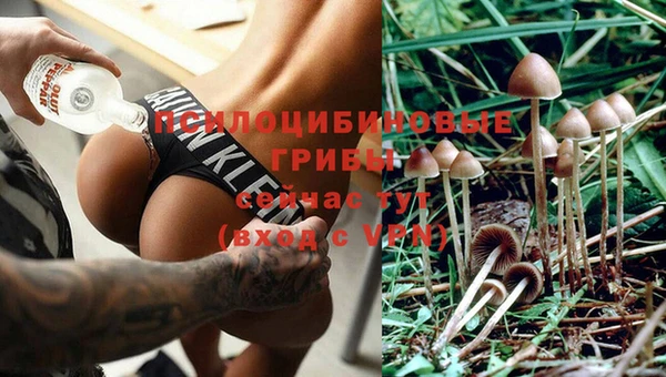 молекула духа Армянск