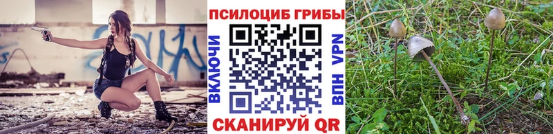 Галлюциногенные грибы мухоморы Славгород