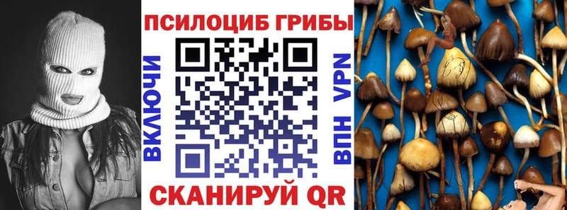 Галлюциногенные грибы прущие грибы  Купить где  Славгород 